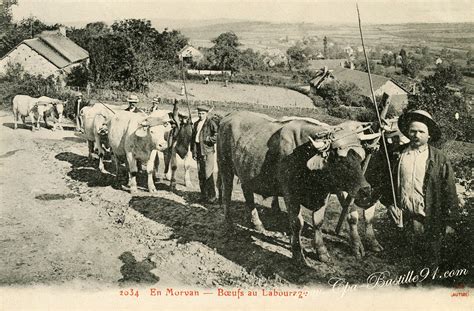  Paysans: Une Histoire du Travail Rural en France -  A Touching Ode to Labor and an Immersive Journey Through Time